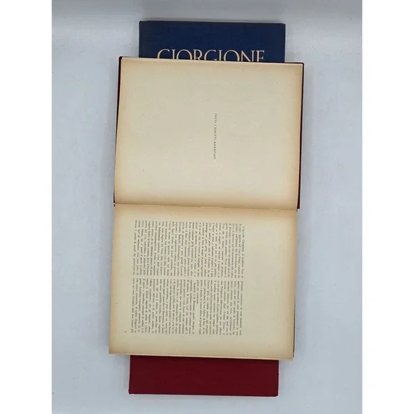 3 Lot Istituto Italiano D'Arti Grafiche Books - Bramante, Giambellino, Giorgione - Picture 12 of 16